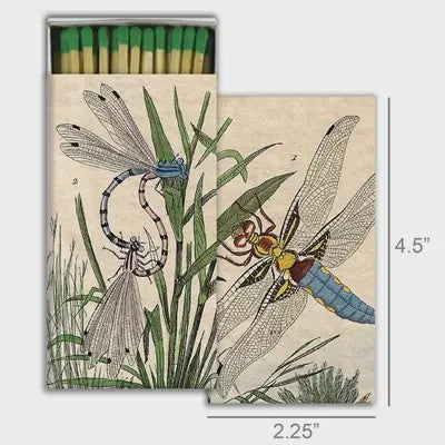 Dragonfly Match Box