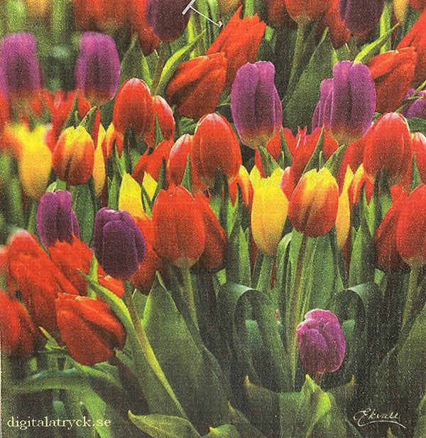 Bouquet of Tulips Swedish Cellulose Dishcloth
