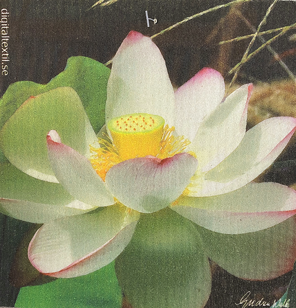 Lotus Cell. Dishcloth