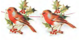 Robin & Holly Garland