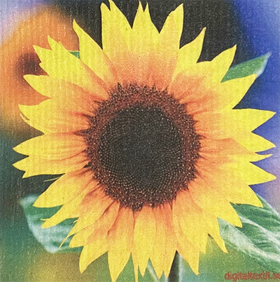 Photo of Sunflower #2 Swedish Cellulose Dishcloth