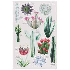 Botanical Cacti Dishtowel